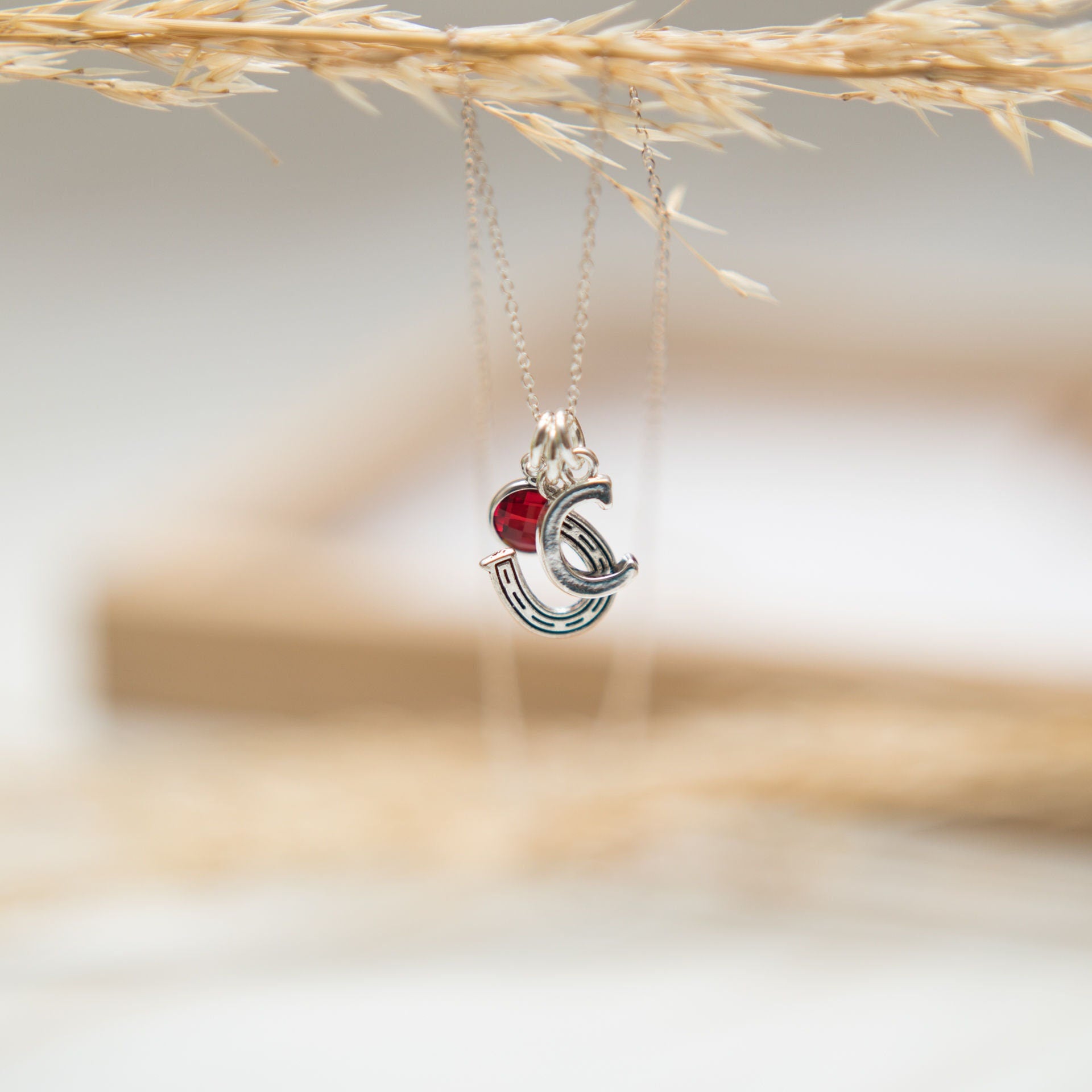 Horse shoe necklace, lucky charm jewellery, personalised gifts, 18th birthday present, horse rider equestrian gift, new pony owner, pet loss