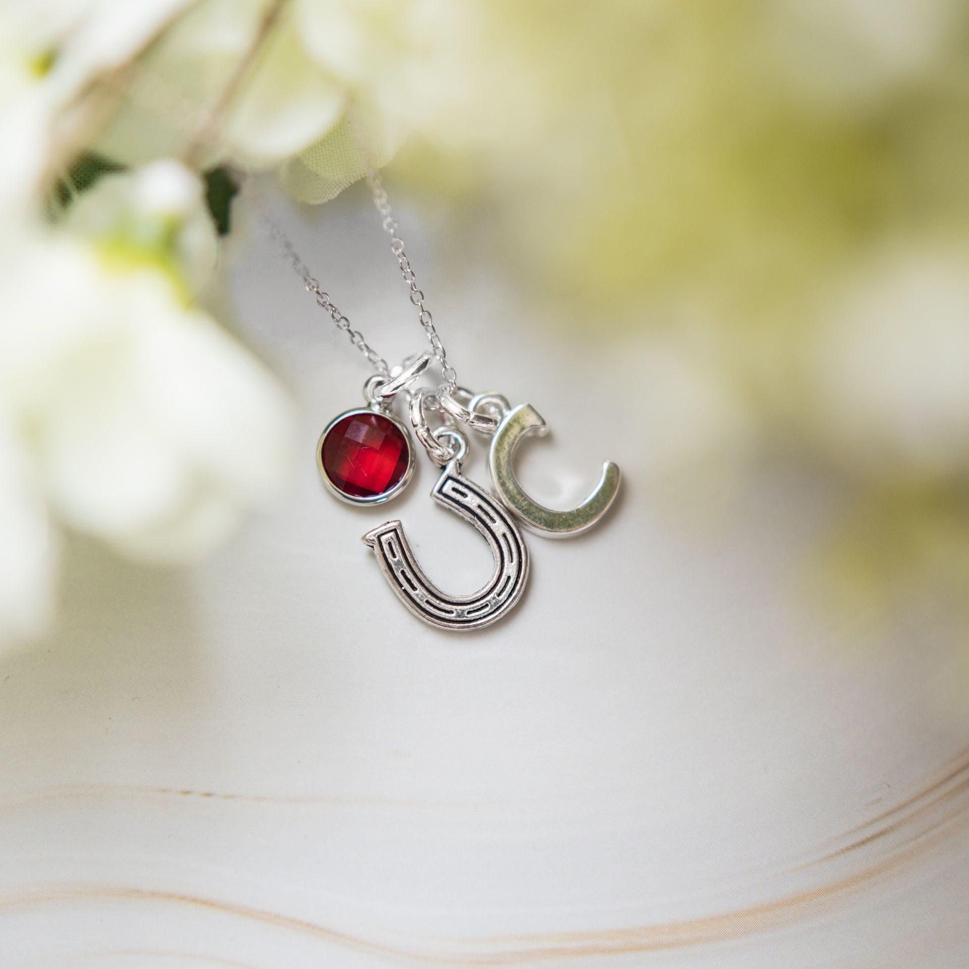 Horse shoe necklace, lucky charm jewellery, personalised gifts, 18th birthday present, horse rider equestrian gift, new pony owner, pet loss