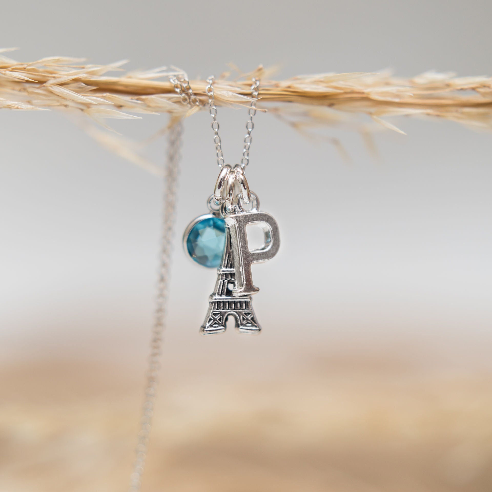 Paris necklace, Eiffel tower jewellery, initial birthstone letter, personalised gifts, French themed gifts, surprise trip reveal France