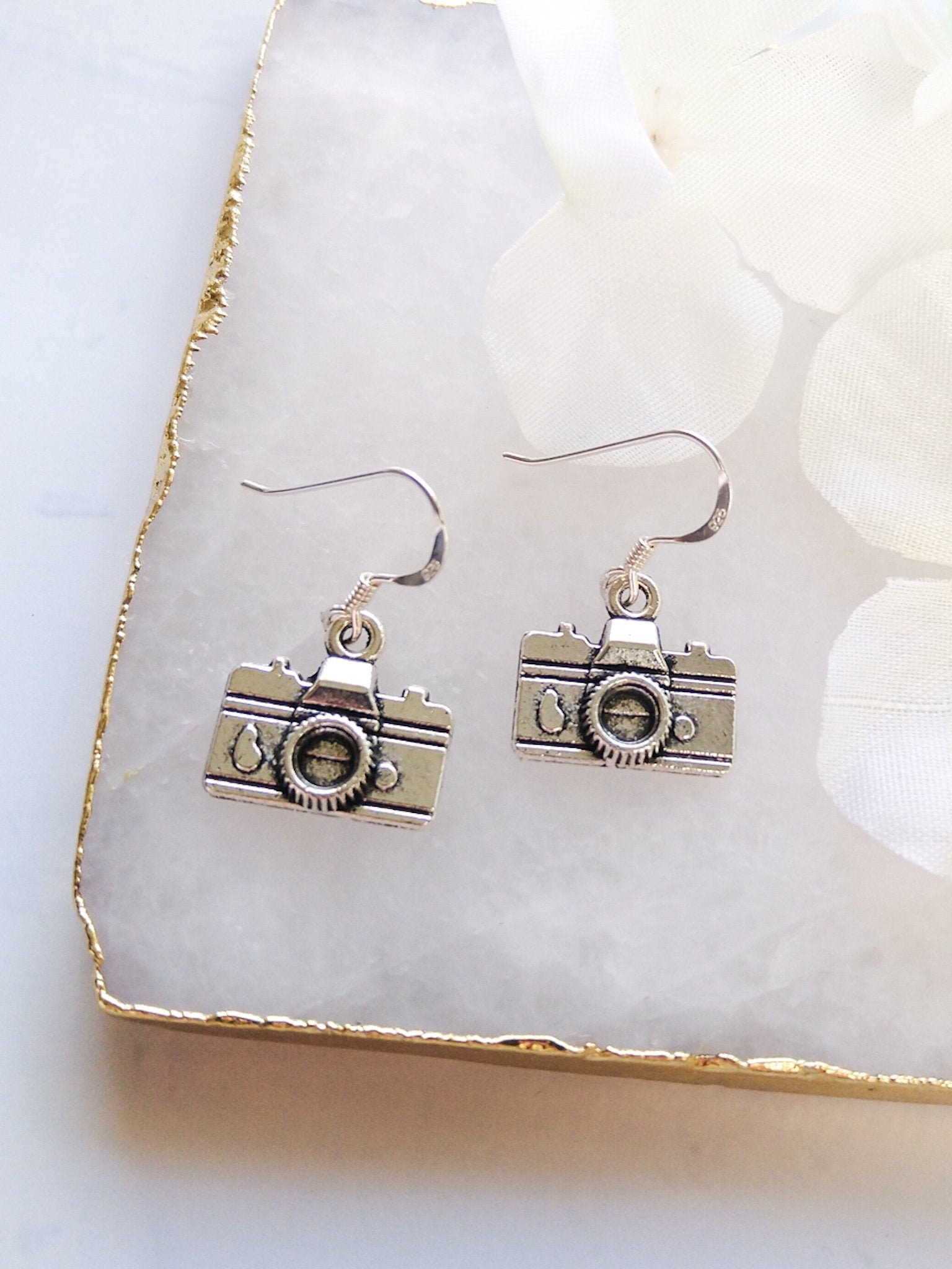 Camera earrings, 925 sterling silver ear wires, camera jewellery, gifts for photographer