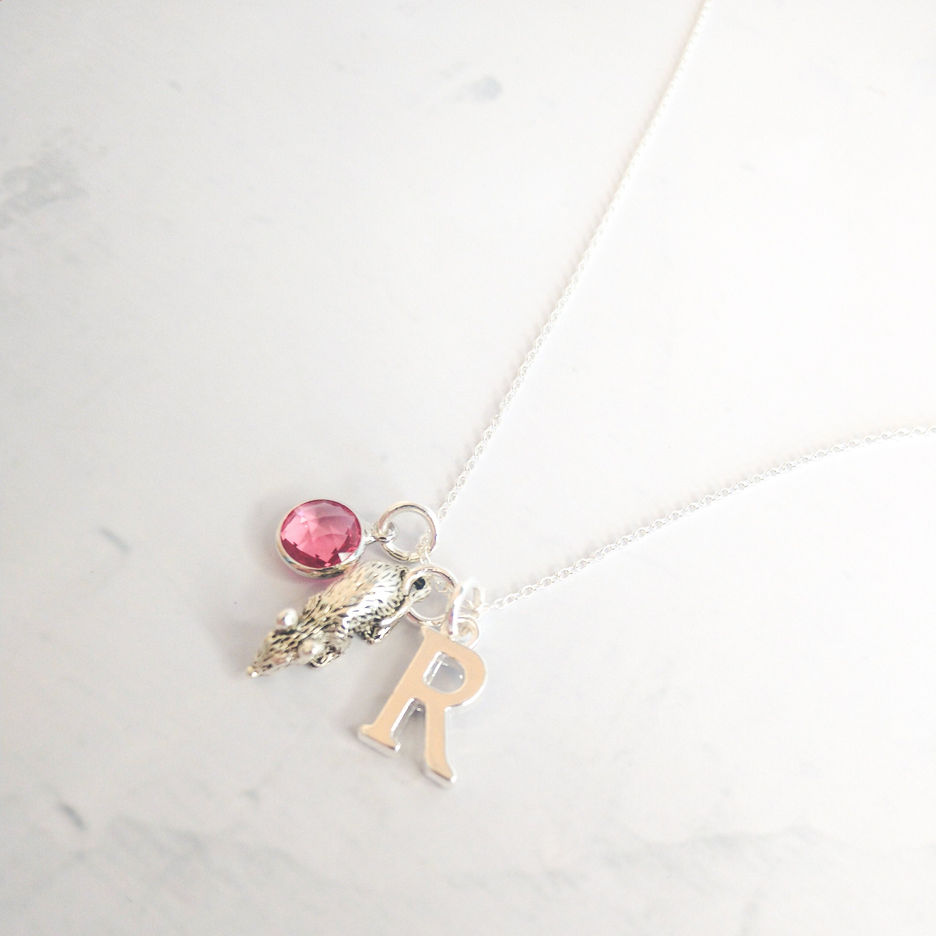 Mouse necklace, personalised gifts, mice jewellery for women, birthstone and initial charms, rodent gift