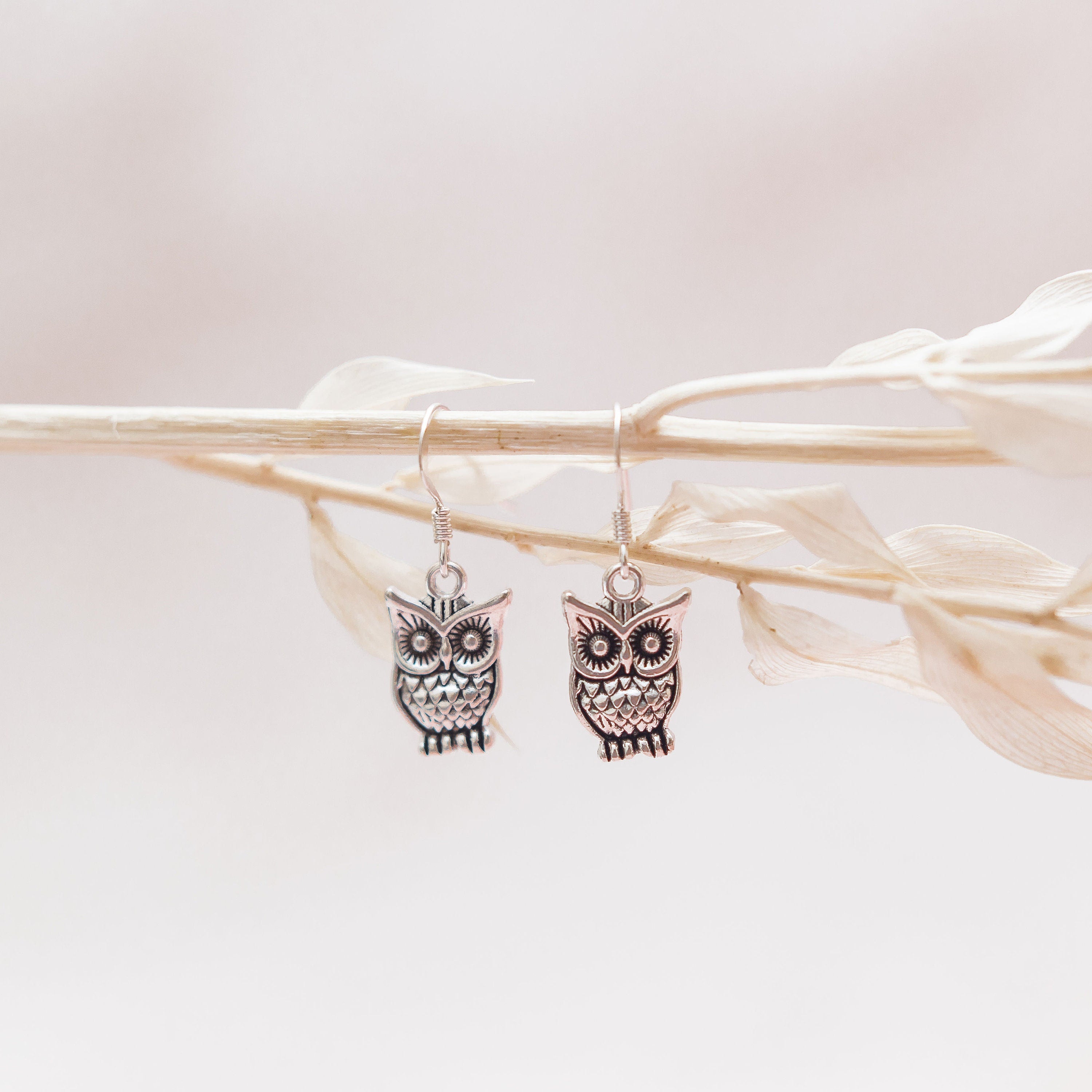 Owl earrings, graduation gift, teacher jewellery, wizard gifts, book lover present, bird accessories, 925 silver ear wire hook, drop charm