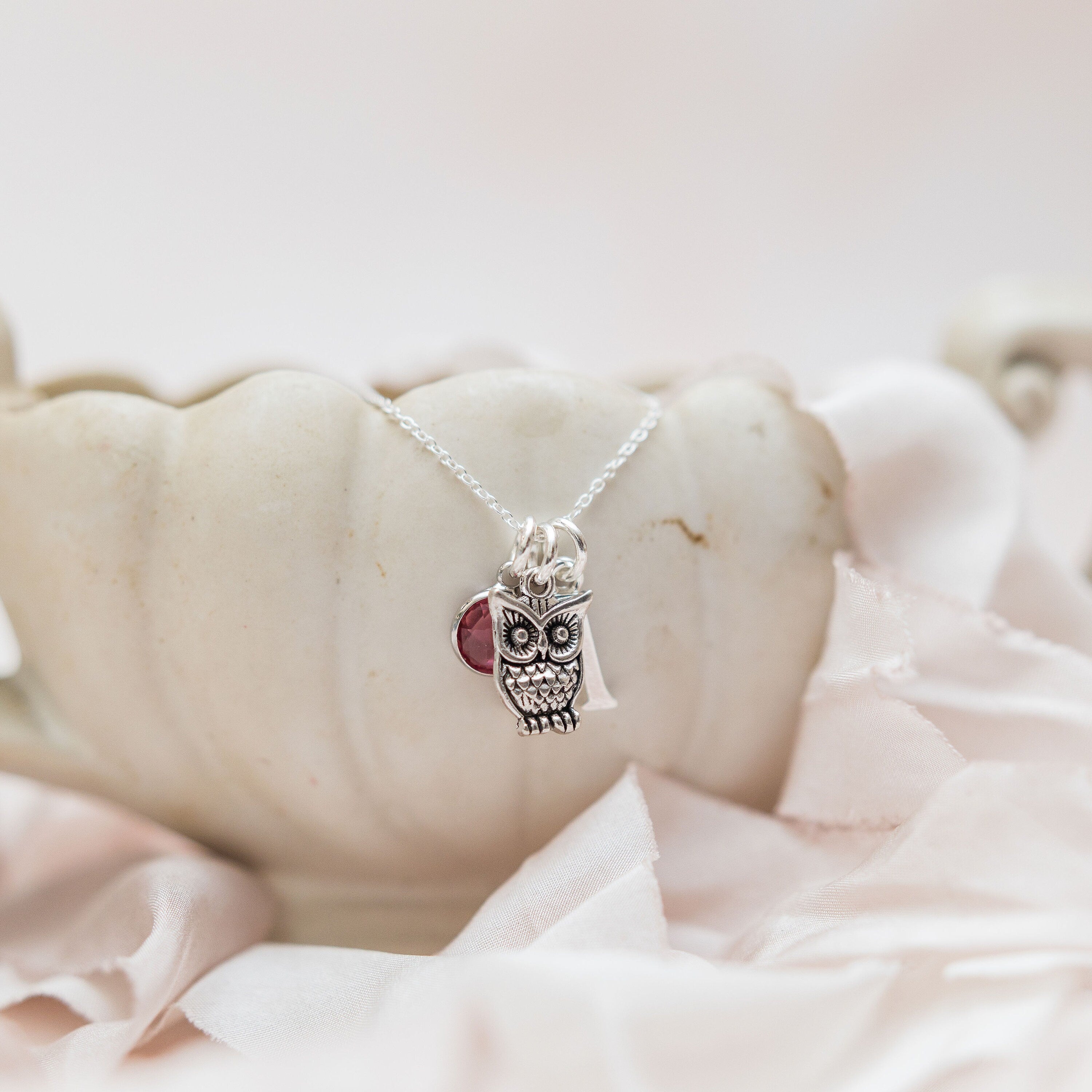 Owl necklace,  personalised gifts, owl lover gift, bird jewellery. birthstone initial, graduation present, book lovers, teacher thank you