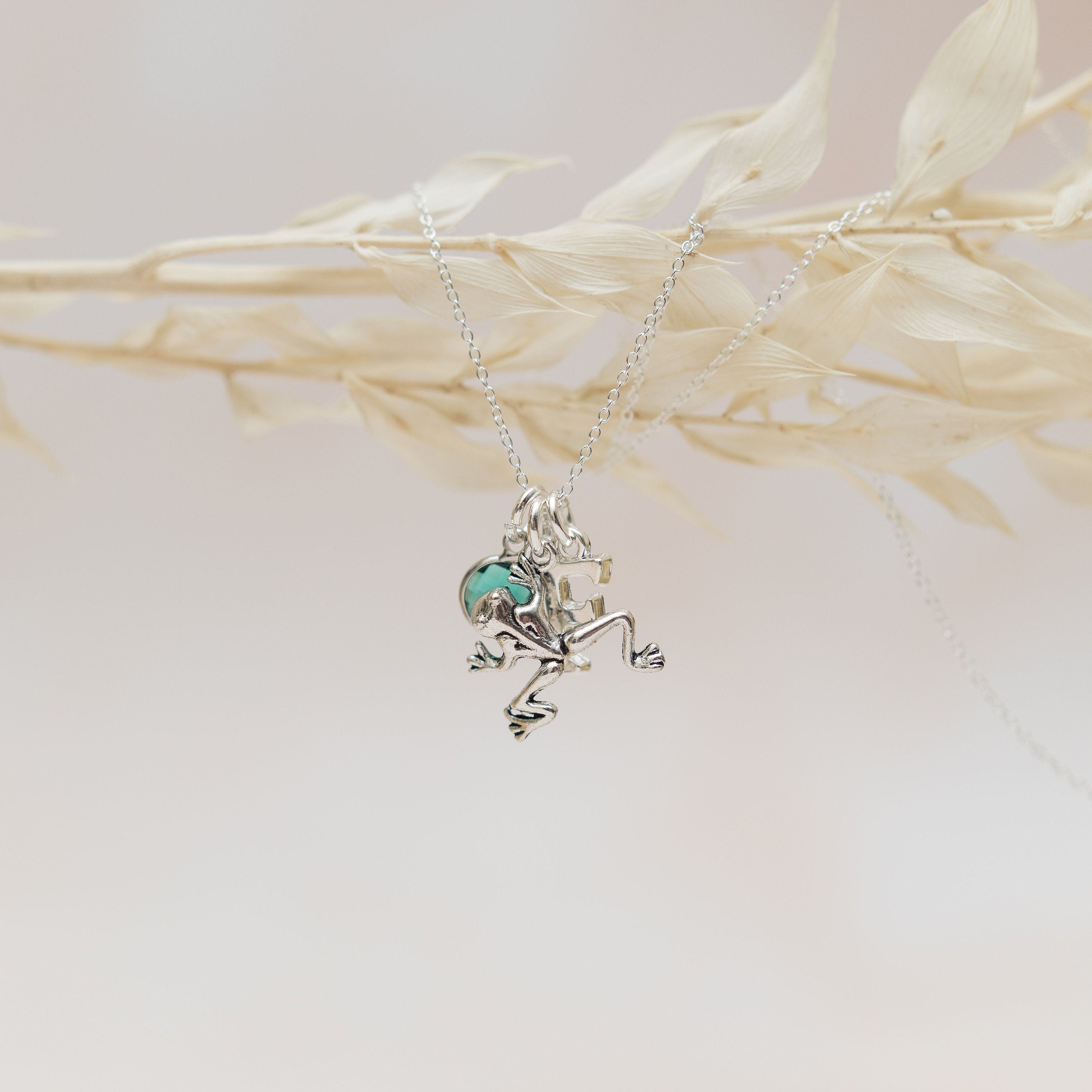 Frog necklace, personalised gifts, jewellery for women, birthstone and initial charms, froggy gift, amphibian pendant