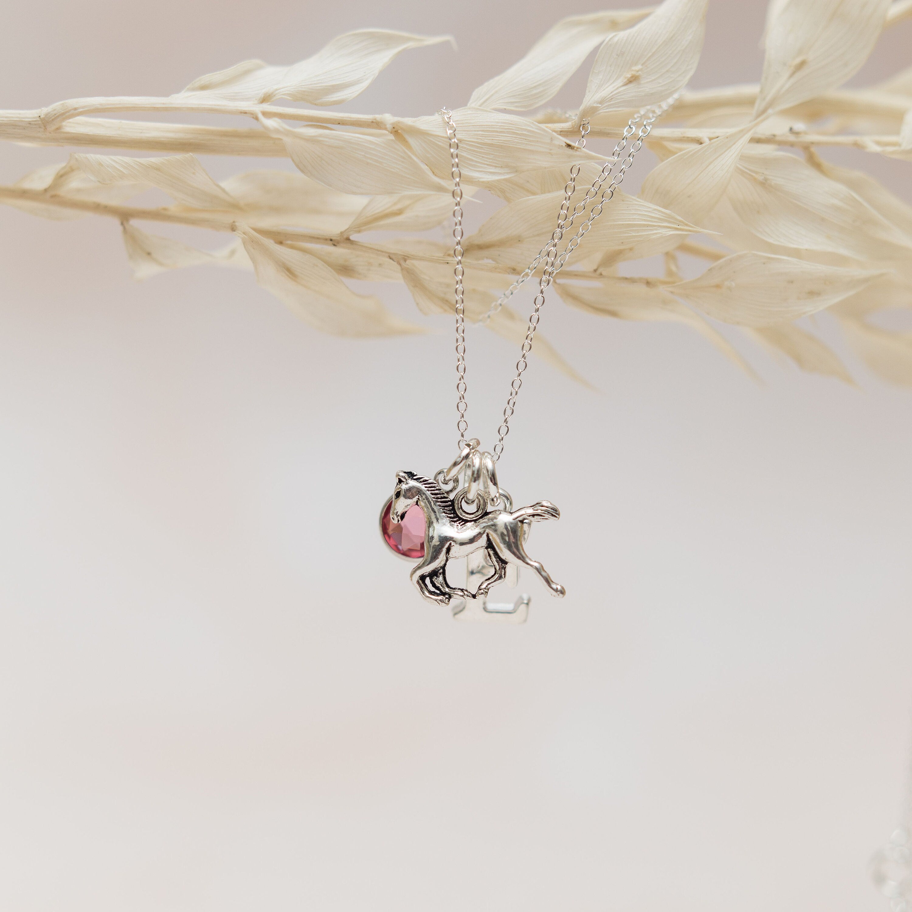 Horse necklace, personalised gifts, birthstone initial letter, animal jewellery, equestrian riders, horse pony owners, pet loss memorial