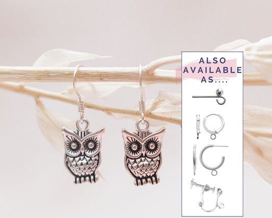 Owl earrings, graduation gift, teacher jewellery, wizard gifts, book lover present, bird accessories, 925 silver ear wire hook, drop charm