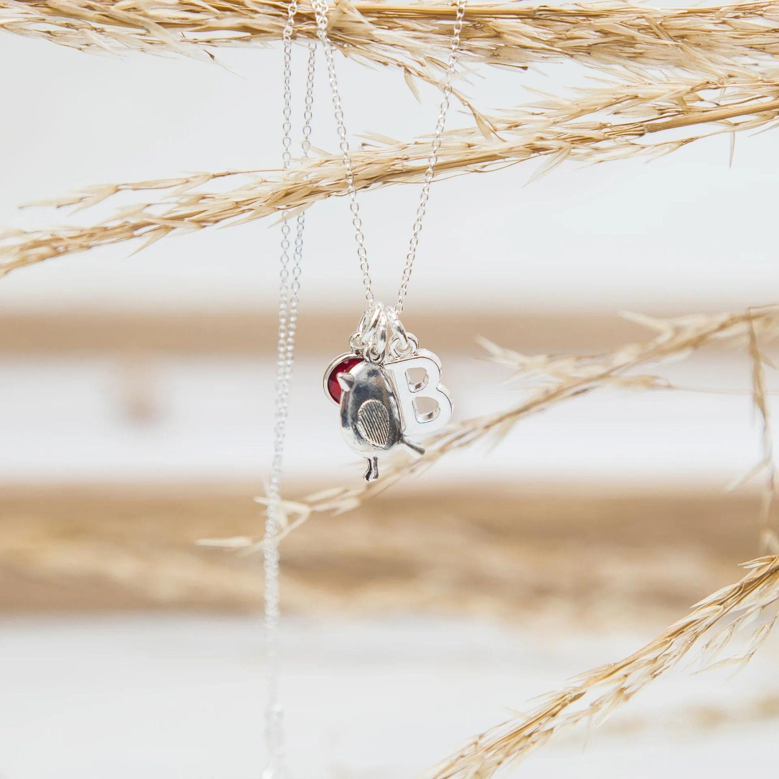 Robin necklace, personalised gifts,  birthstone  initial, Christmas accessories, winter animal, remembrance memorial, bird jewellery,