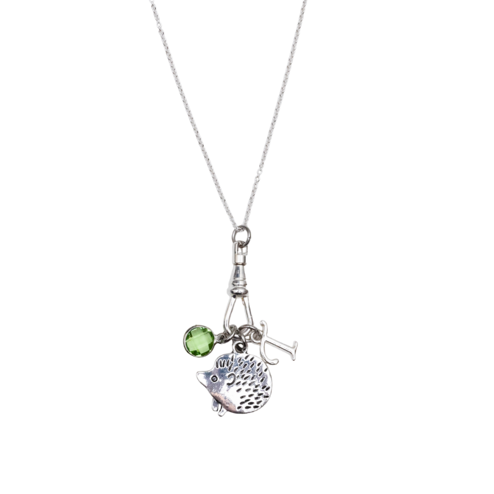 Personalised Hedgehog Charm Catcher Necklace