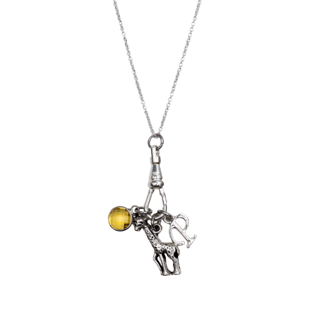 Personalised Giraffe Charm Catcher Necklace