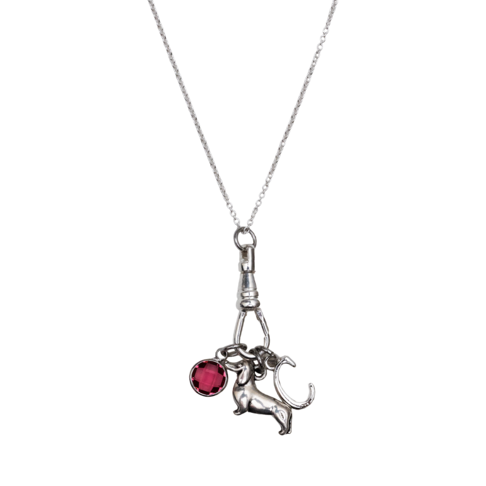 Personalised Dachshund Charm Catcher Necklace