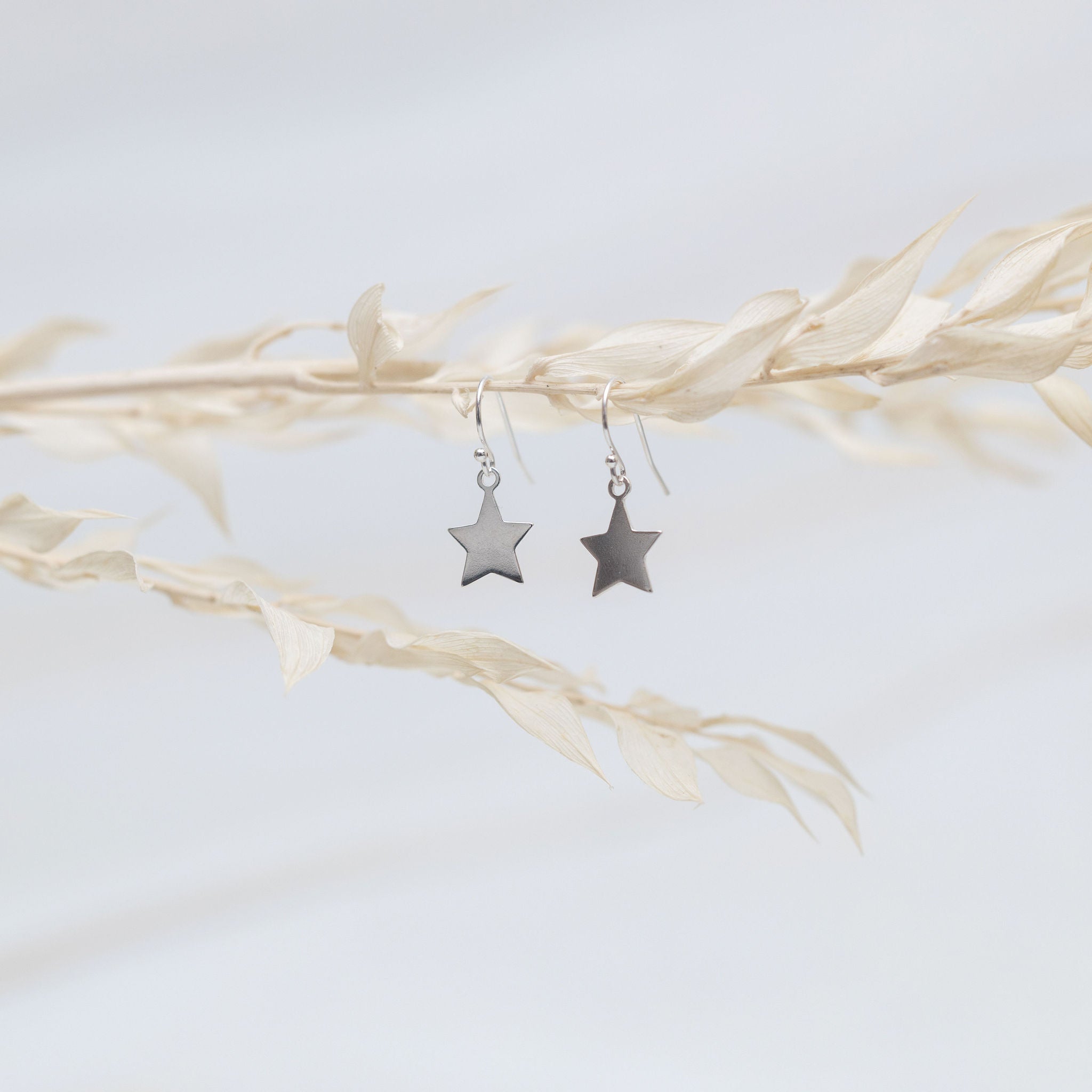 Sterling Silver Star Earrings