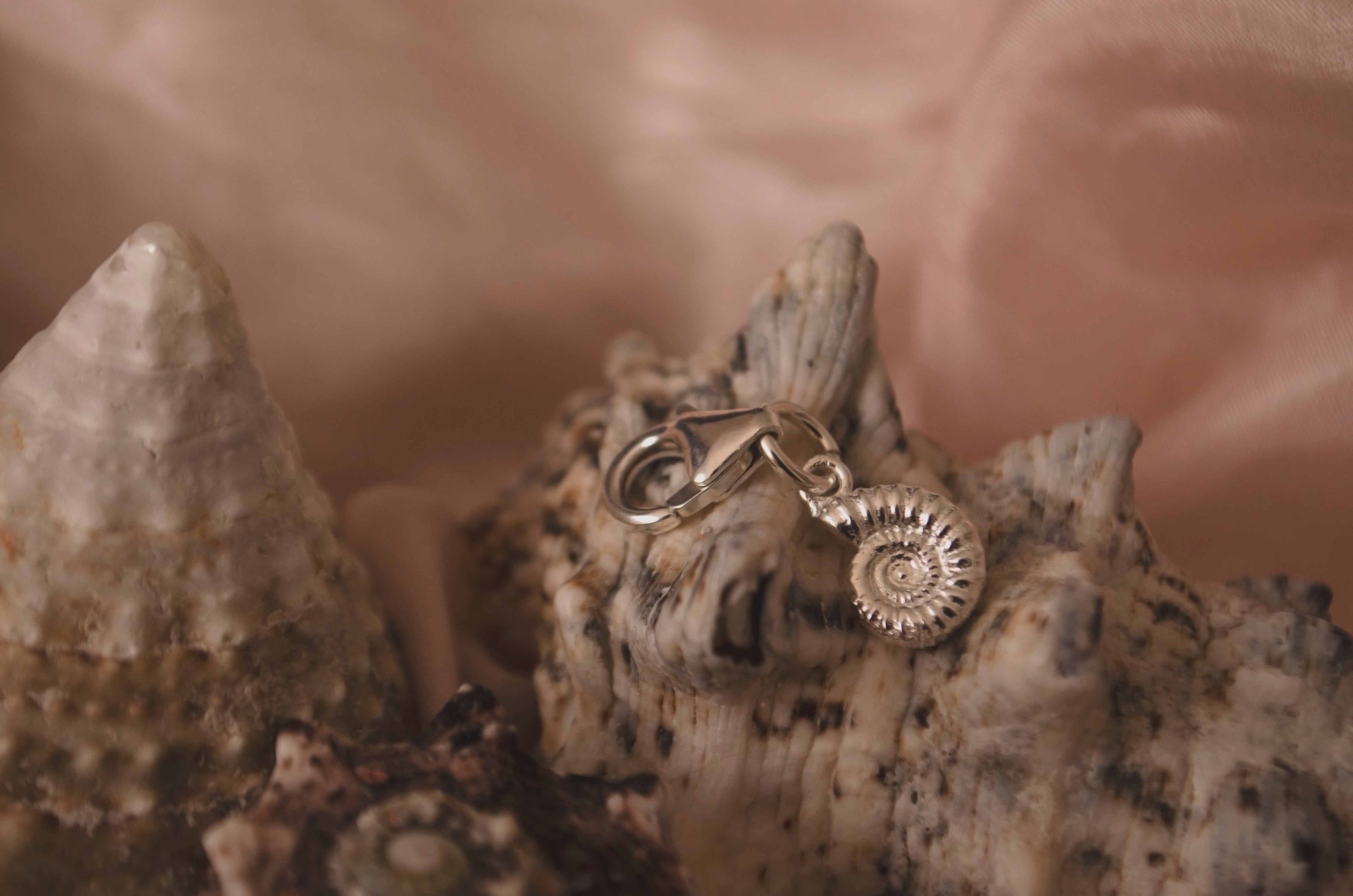 Sterling Silver Ammonite Clip Charm