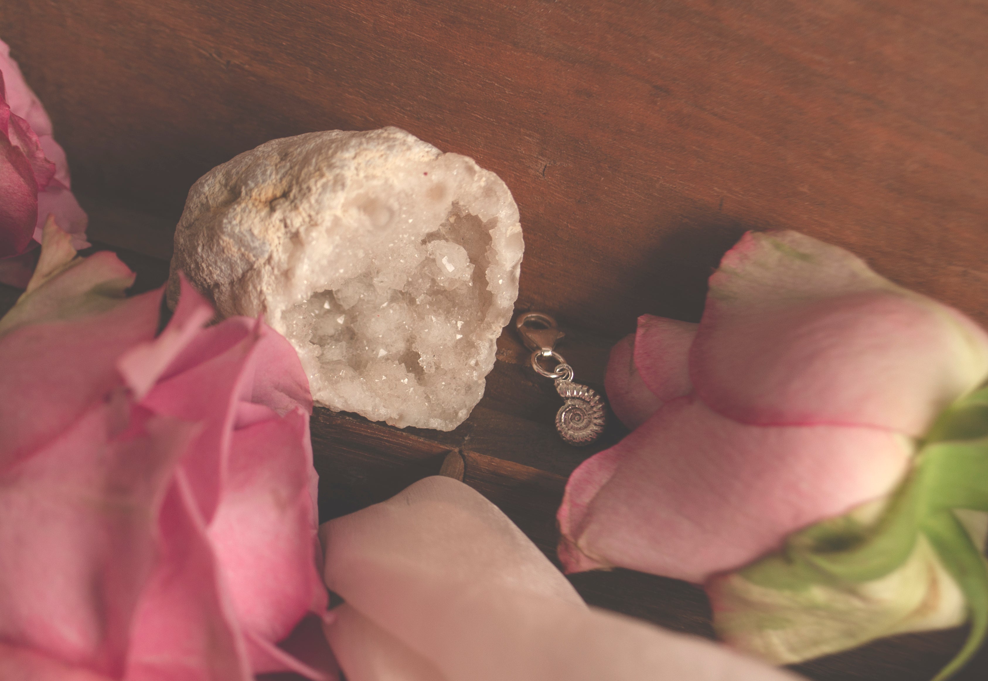 Sterling Silver Ammonite Clip Charm